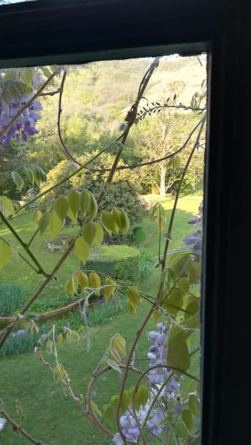 Mauves Les Palmiers Bed & Breakfast エクステリア 写真